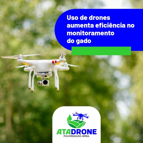 Uso de drones aumenta eficiência no monitoramento do gado