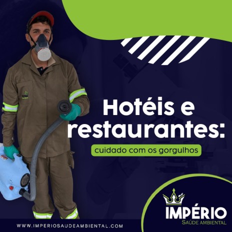 Hotéis e restaurantes: cuidado com os gorgulhos
