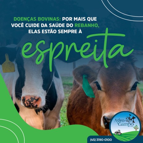 Doenças bovinas: por mais que você cuide da saúde do rebanho, elas estão sempre à espreita