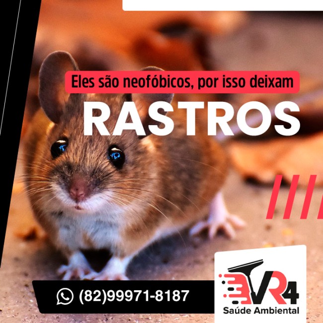 Eles são neofóbicos, por isso deixam rastros