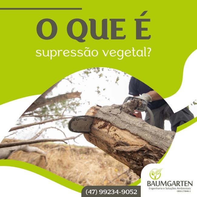 O que é supressão vegetal?