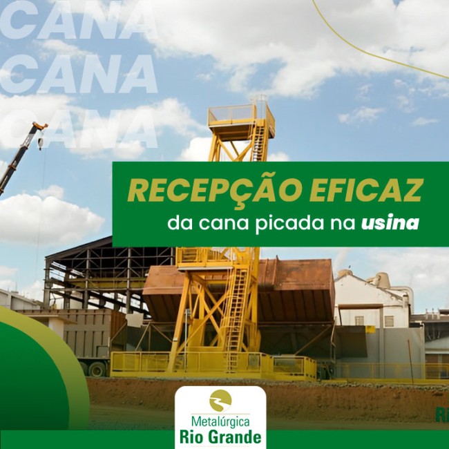 Recepção eficaz da cana picada na usina