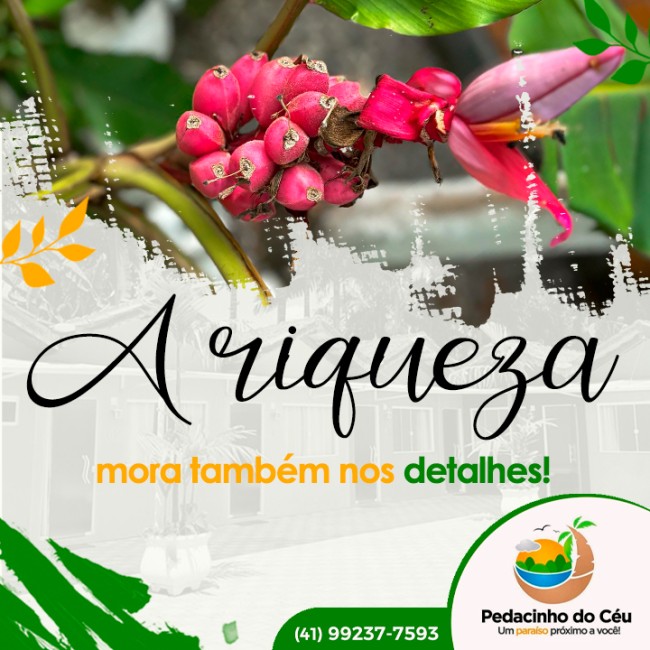 A riqueza mora também nos detalhes