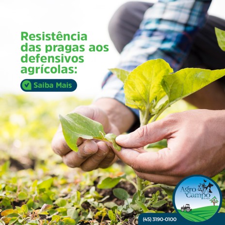 Resistência das pragas aos defensivos agrícolas: