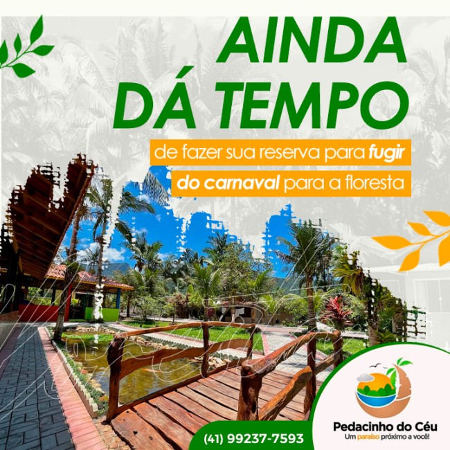 Ainda dá tempo de fazer sua reserva para fugir do carnaval para a floresta
