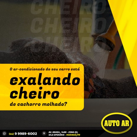 O ar-condicionado do seu carro está exalando cheiro de cachorro molhado?