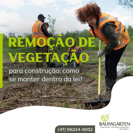 Remoção de vegetação para construção: como se manter dentro da lei?
