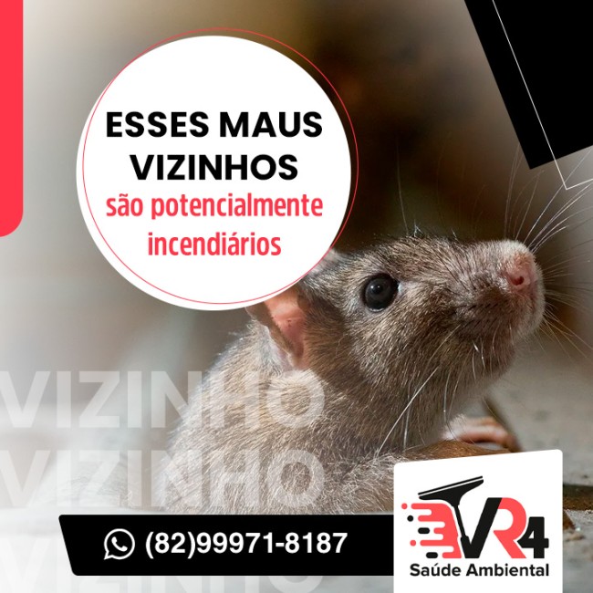 Esses maus vizinhos são potencialmente incendiários