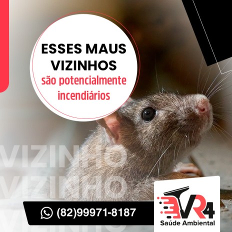 Esses maus vizinhos são potencialmente incendiários