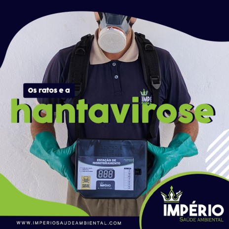 Os ratos e a hantavirose