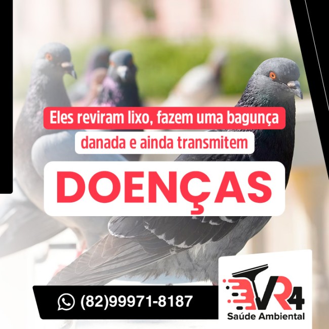 Eles reviram lixo, fazem uma bagunça danada e ainda transmitem doenças