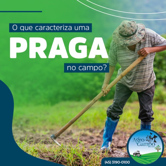 O que caracteriza uma praga no campo?