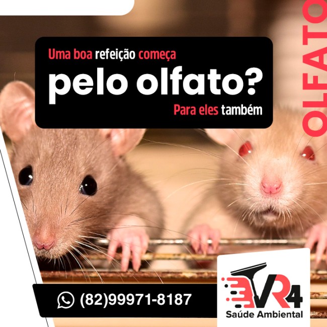 Uma boa refeição começa pelo olfato? Para eles também