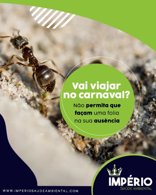Vai viajar no carnaval? Não permita que façam uma folia na sua ausência