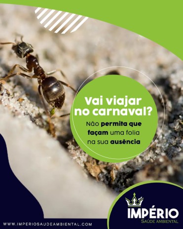 Vai viajar no carnaval? Não permita que façam uma folia na sua ausência