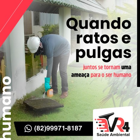 Quando ratos e pulgas juntos se tornam uma ameaça para o ser humano