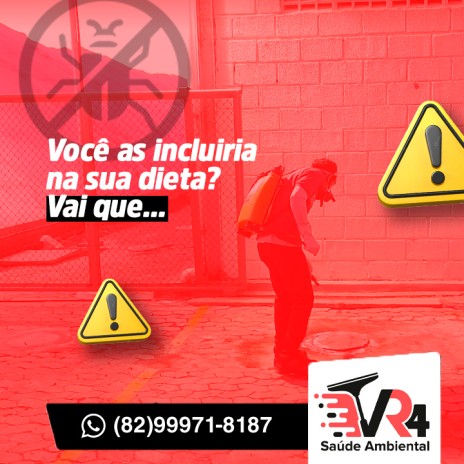 Você as incluiria na sua dieta? Vai que...