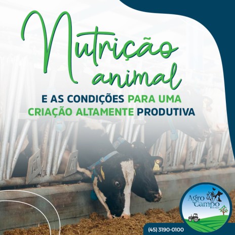 Nutrição animal e as condições para uma criação altamente produtiva