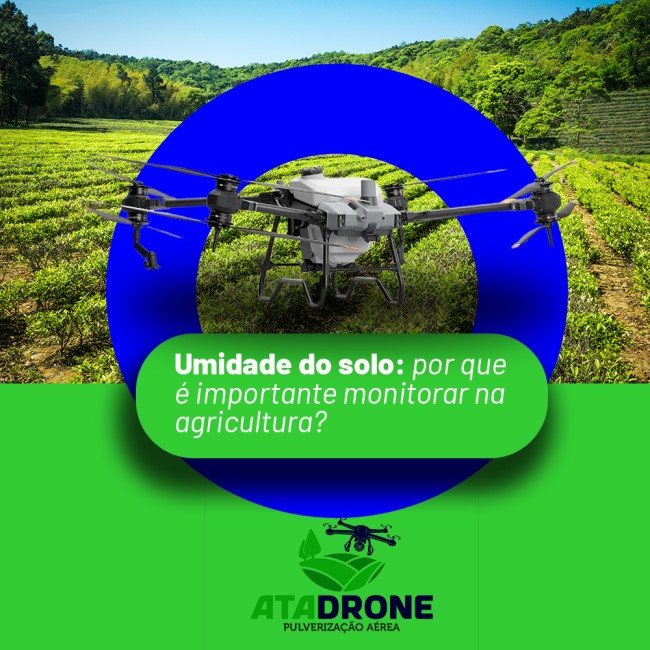 Umidade do solo: por que é importante monitorar na agricultura?