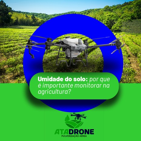 Umidade do solo: por que é importante monitorar na agricultura?