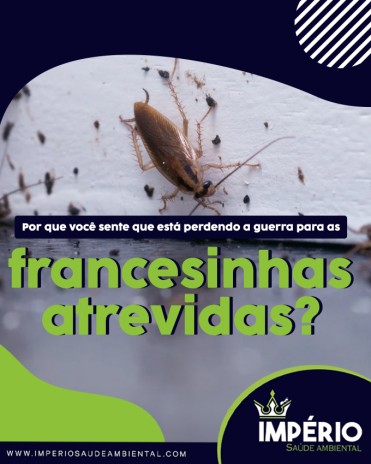 Por que você sente que está perdendo a guerra para as francesinhas atrevidas?