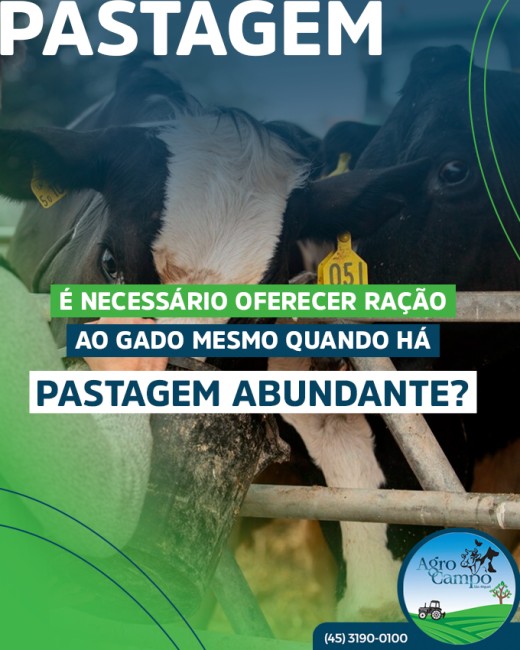 É necessário oferecer ração ao gado mesmo quando há pastagem abundante?