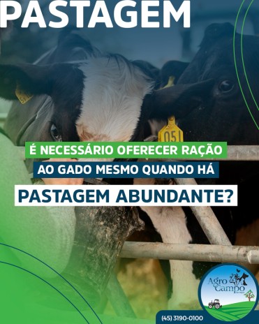 É necessário oferecer ração ao gado mesmo quando há pastagem abundante?