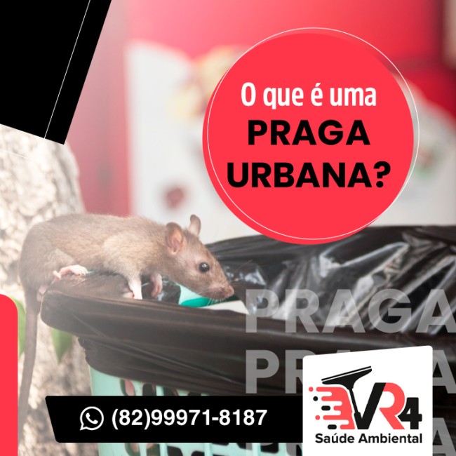 O que é uma praga urbana?