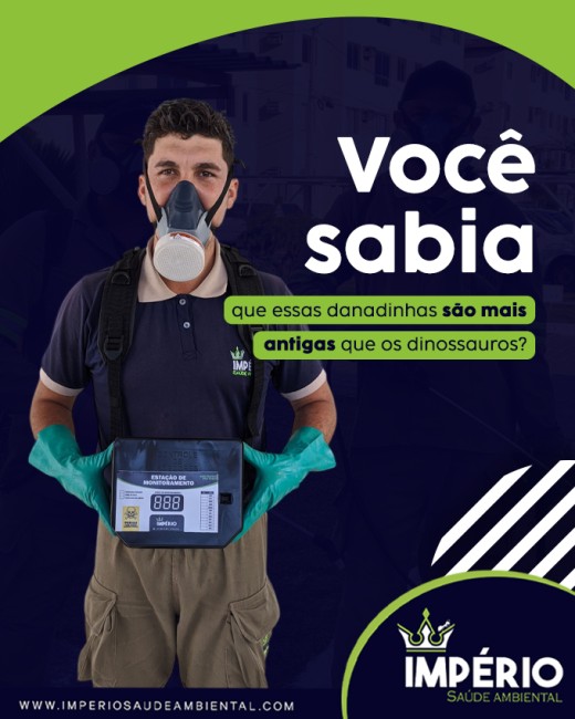 Você sabia que essas danadinhas são mais antigas que os dinossauros?