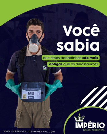 Você sabia que essas danadinhas são mais antigas que os dinossauros?