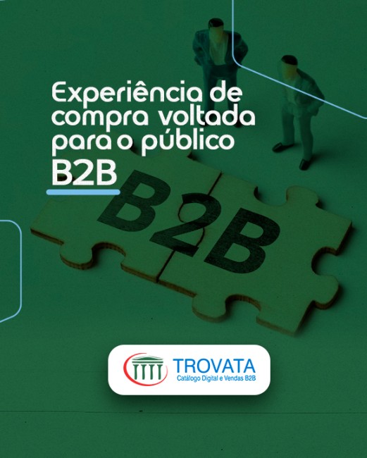 Experiência de compra voltada para o público B2B