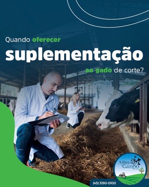 Quando oferecer suplementação ao gado de corte?