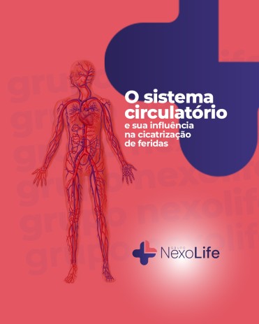 O sistema circulatório e sua influência na cicatrização de feridas