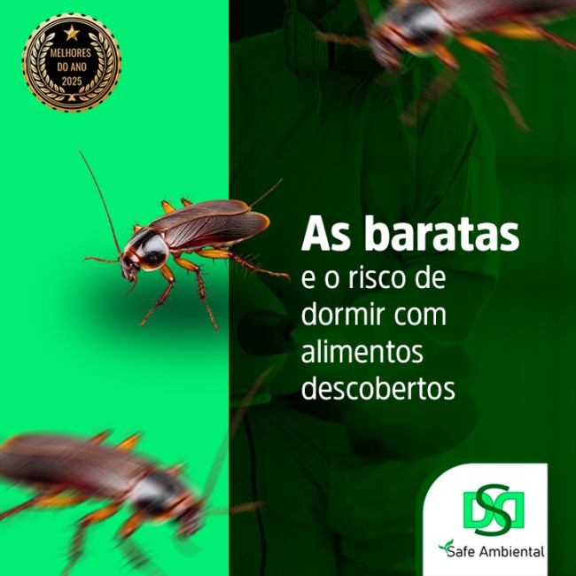 A lenda da barata sem cabeça?