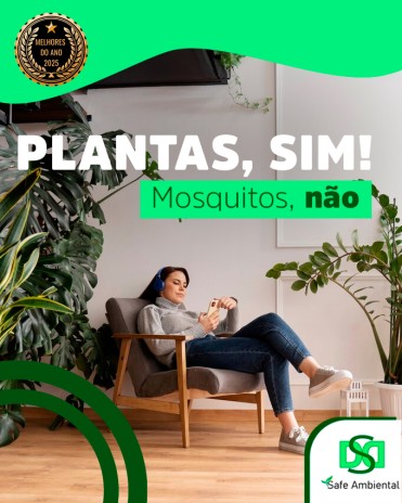 Plantas, sim! Mosquitos, não