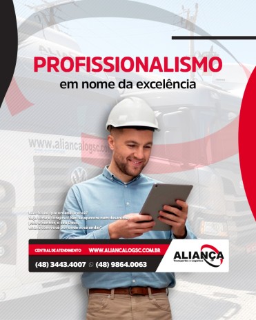 Profissionalismo em nome da excelência