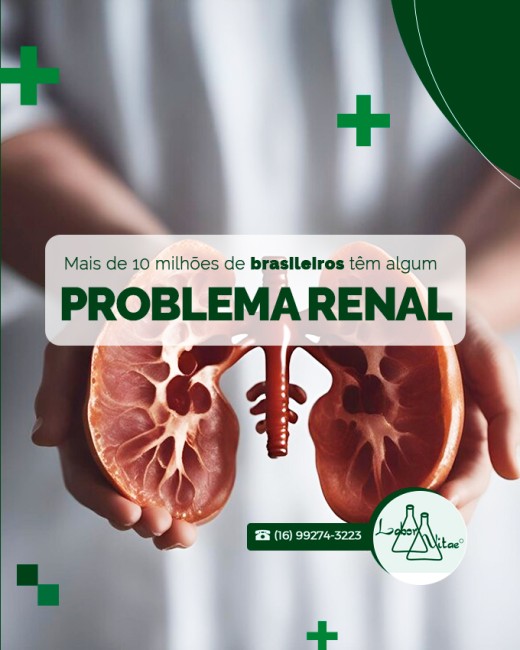 Mais de 10 milhões de brasileiros têm algum problema renal