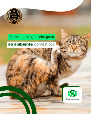 Como as pulgas chegam ao ambiente doméstico?