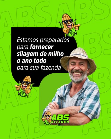 Estamos preparados para fornecer silagem de milho o ano todo para sua fazenda
