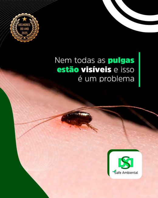 Nem todas as pulgas estão visíveis e isso é um problema