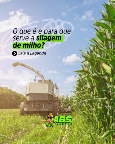 O que é e para que serve a silagem de milho