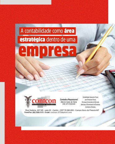 A contabilidade como área estratégica dentro de uma empresa
