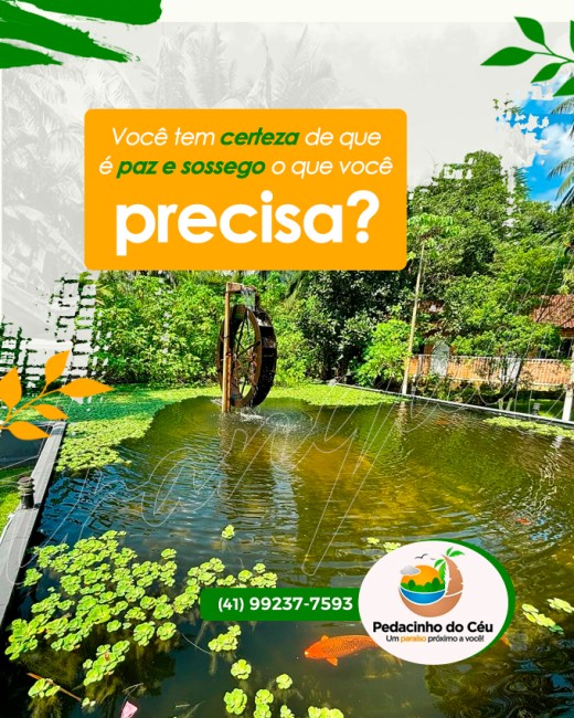 Você tem certeza de que é paz e sossego o que você precisa?