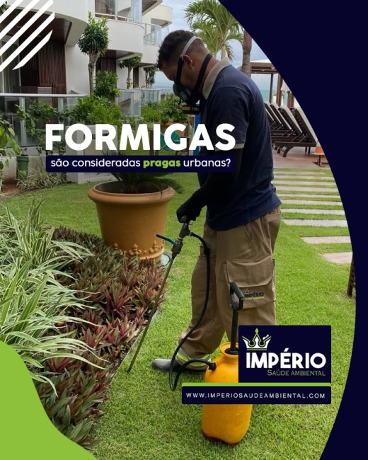 Formigas são consideradas pragas urbanas?