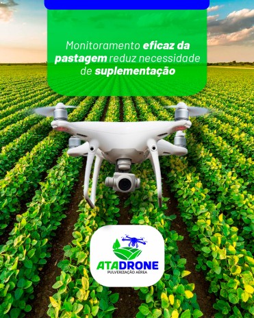 Monitoramento eficaz da pastagem reduz necessidade de suplementação