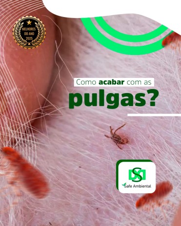 Como acabar com as pulgas?