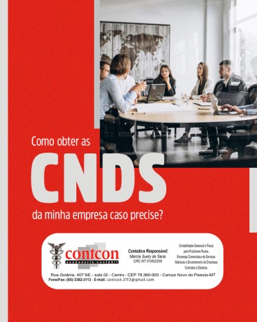 Como obter as CNDs da minha empresa caso precise?