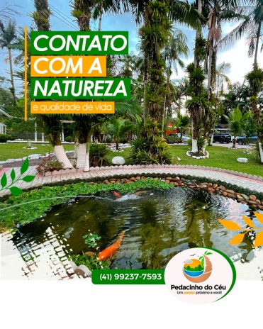 Contato com a natureza e qualidade de vida