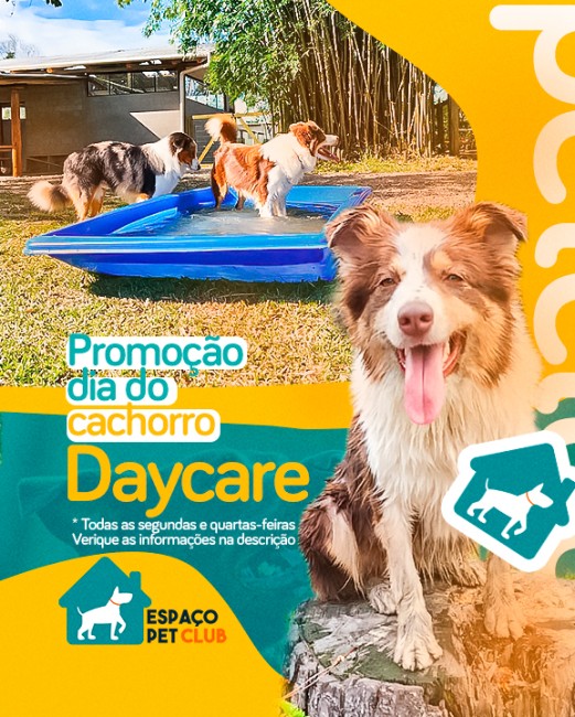 Promoção dia do Cachorro Daycare