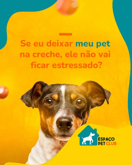 Se eu deixar meu pet na creche, ele não vai ficar estressado?